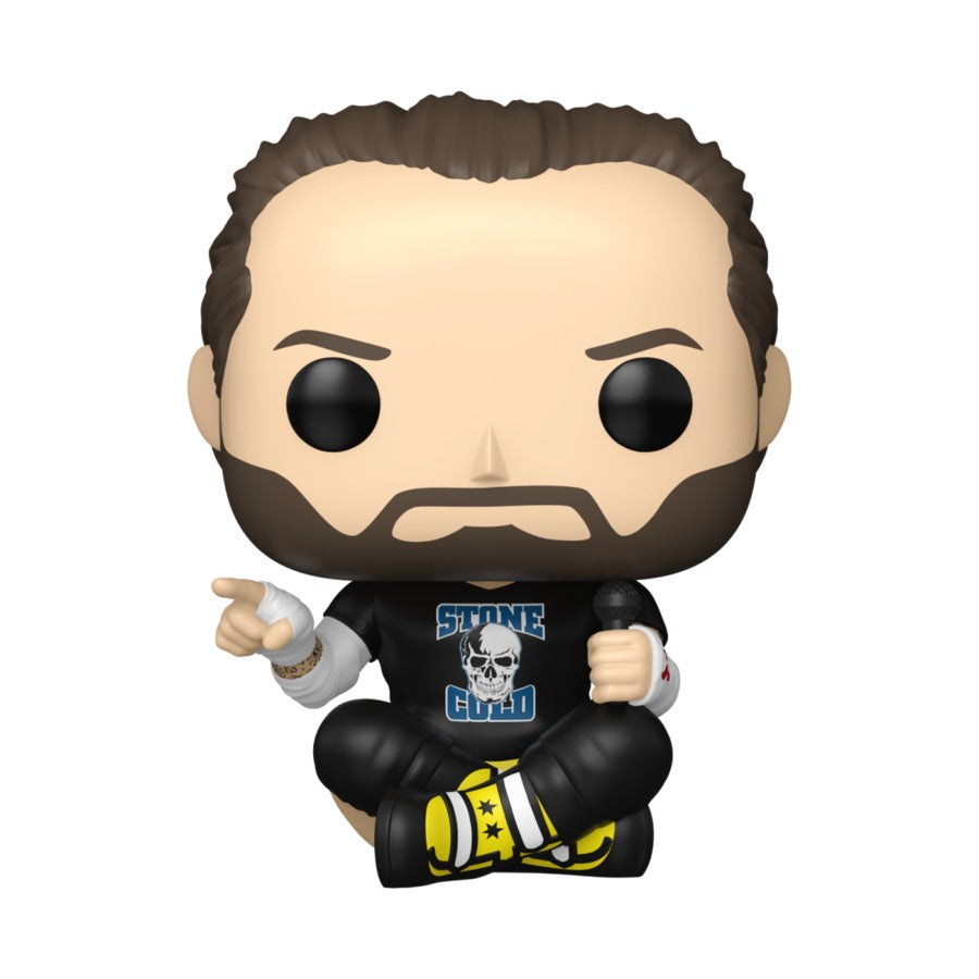 WWE - CM Punk Pop! Vinyl Figure
